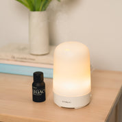 Glow Diffuser Bundle