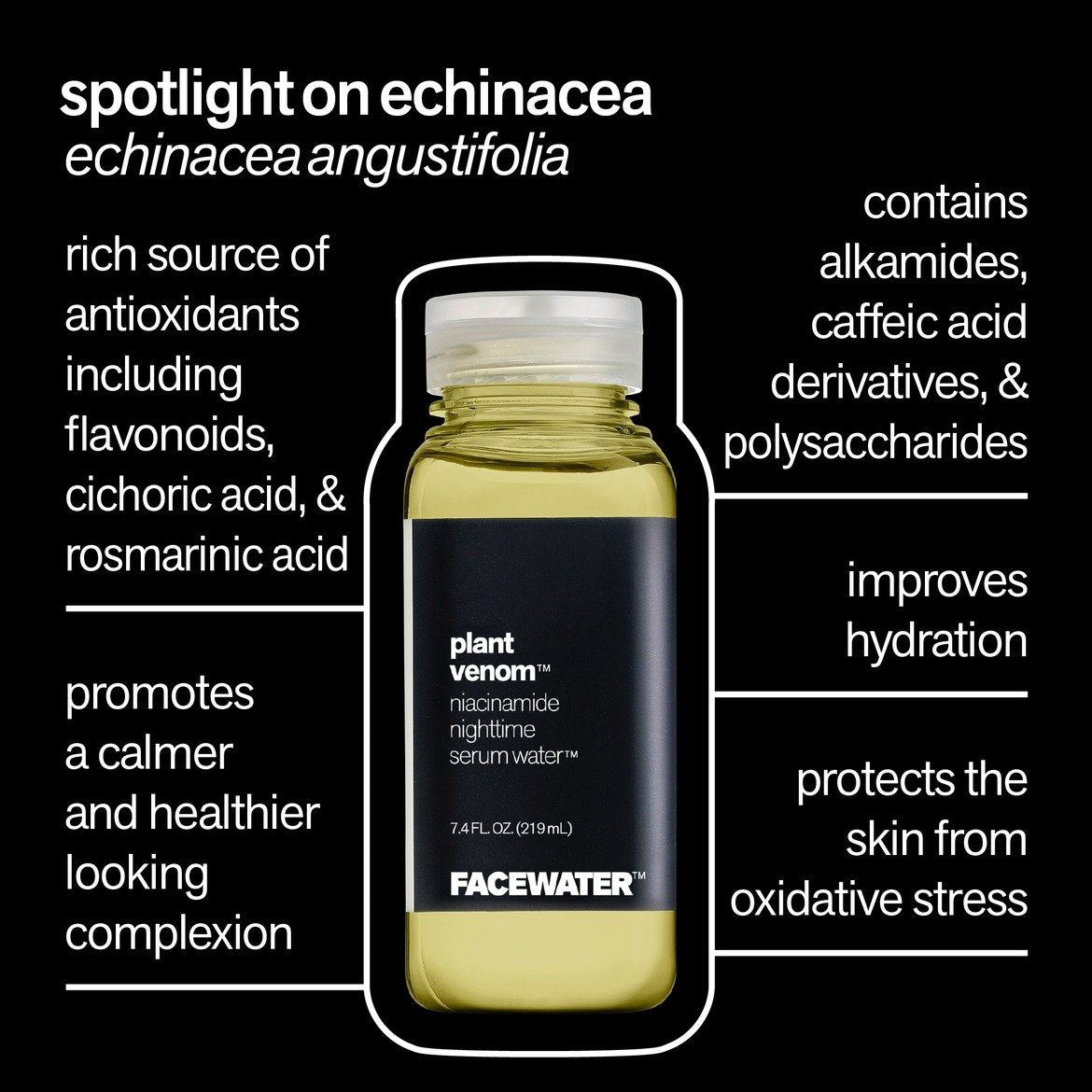 Plant Venom Niacinamide Nighttime Serum Water