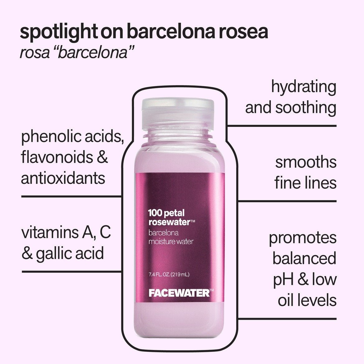 100 Petal Rosewater Barcelona Moisture Water